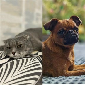 Все мы разные. Одни жаворонки, другие совы; кто-то предпочитает кофе, а кто-то - чай