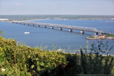 Добрый день, уважаемый респондент! Просим Вас принять участие в опросе, посвященном текущей ситуации в Ульяновской области