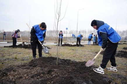 Александр Болдакин: В апреле приступим к высадке деревьев и кустарников на улицах Ульяновска