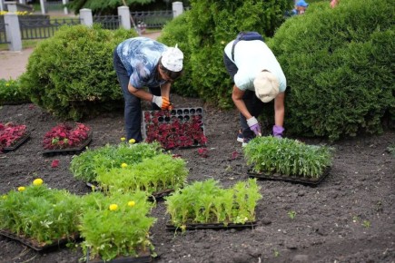В апреле в Ульяновске приступят к высадке деревьев и кустарников