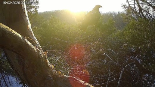 ��������� ���� ��������� � ����������� �������