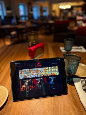 ������������ ���� � ������������ �����-����� El Gaucho