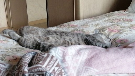 �������� ����� ���������: ��� ����� � ���������� �������� ��� ���