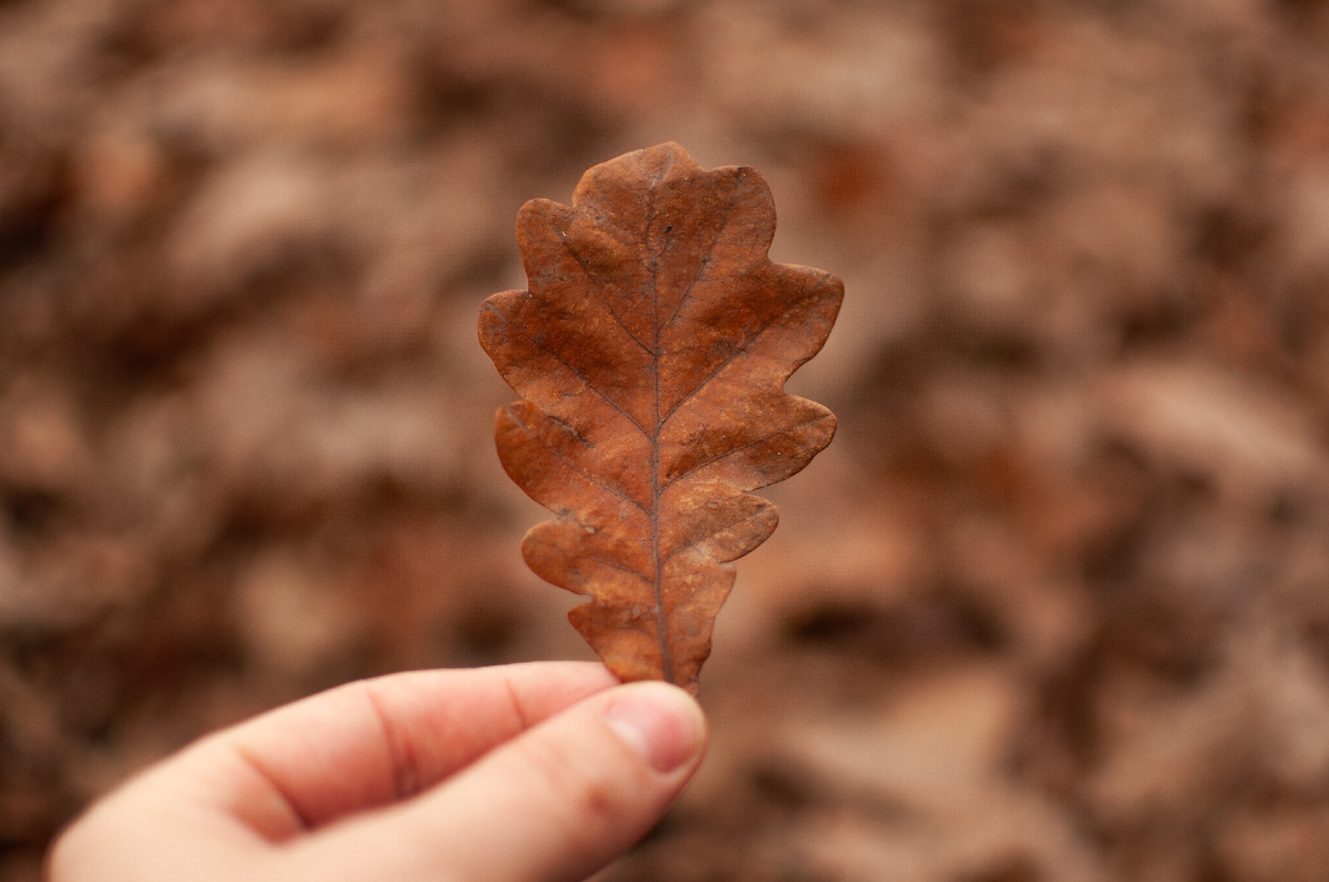 Уютные осенние рецепты, которые вас вдохновят