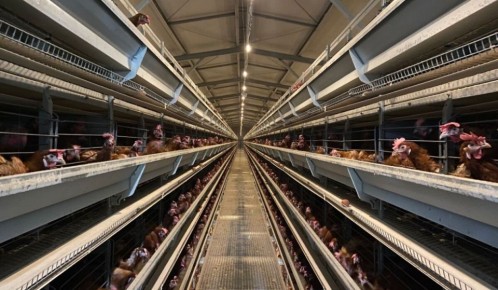 �������� ������������ ������������: ����� ��������� ��� ���������� � 2026 ����