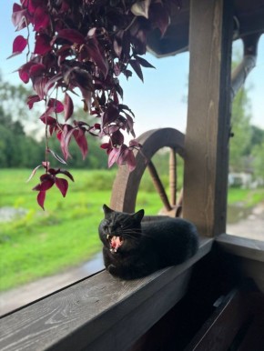 ������ ����, ������!. 22 ����� � ������������� ���� ��������, ���� ����������� ����, ��������� ���� ������ �������� � ���� ���-���-������