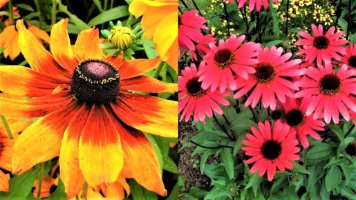 ����� ��� ������� ������: ��� ����������� ��� ������