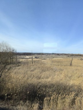 Утро доброе, друзья!. 23 марта празднуем День ласкового котёнка, День одинаковых носков, праздник мужской солидарности и Всемирный день метеоролога