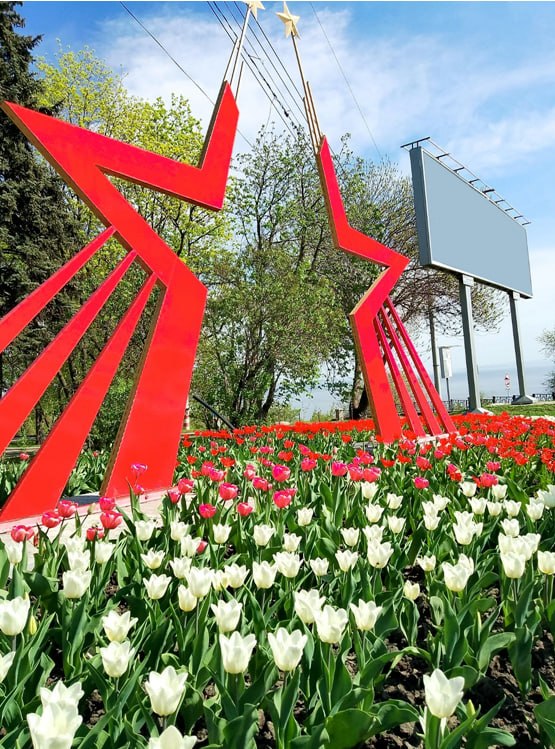 Ко Дню Победы улицы Ульяновска украсят больше 43 тысяч тюльпанов Ко Дню Победы улицы Ульяновска украсят больше 43 тысяч тюльпанов