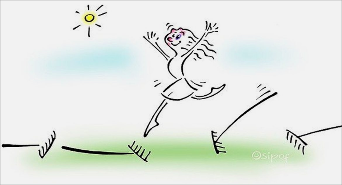 Обновление черных и белых списков интернет-магазинов растений