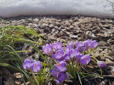 ������ ����, ������!. 24 ����� � ���� �������� ��������, ���� ����� ����������, ������������� ���� ������ � ���������� � ������������� ���� ����������