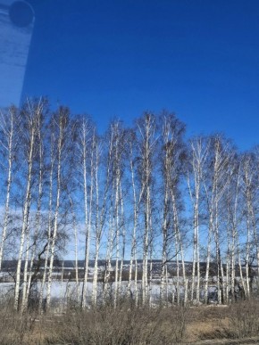 ������ ����, ������!. 25 ����� � ���� ���������� ��������, ������������� ���� ��������������, ���������� ����� � ���� �������������� ������� ��� ��. �������� 73 | ��� ����� � MAX