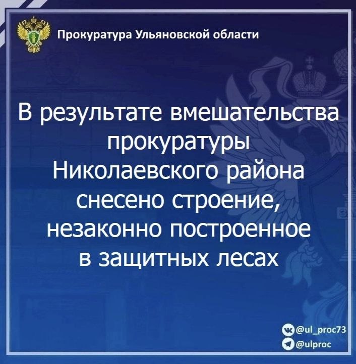 Прокуратура Николаевского района Ульяновской области провела проверку исполнения лесного законодательства