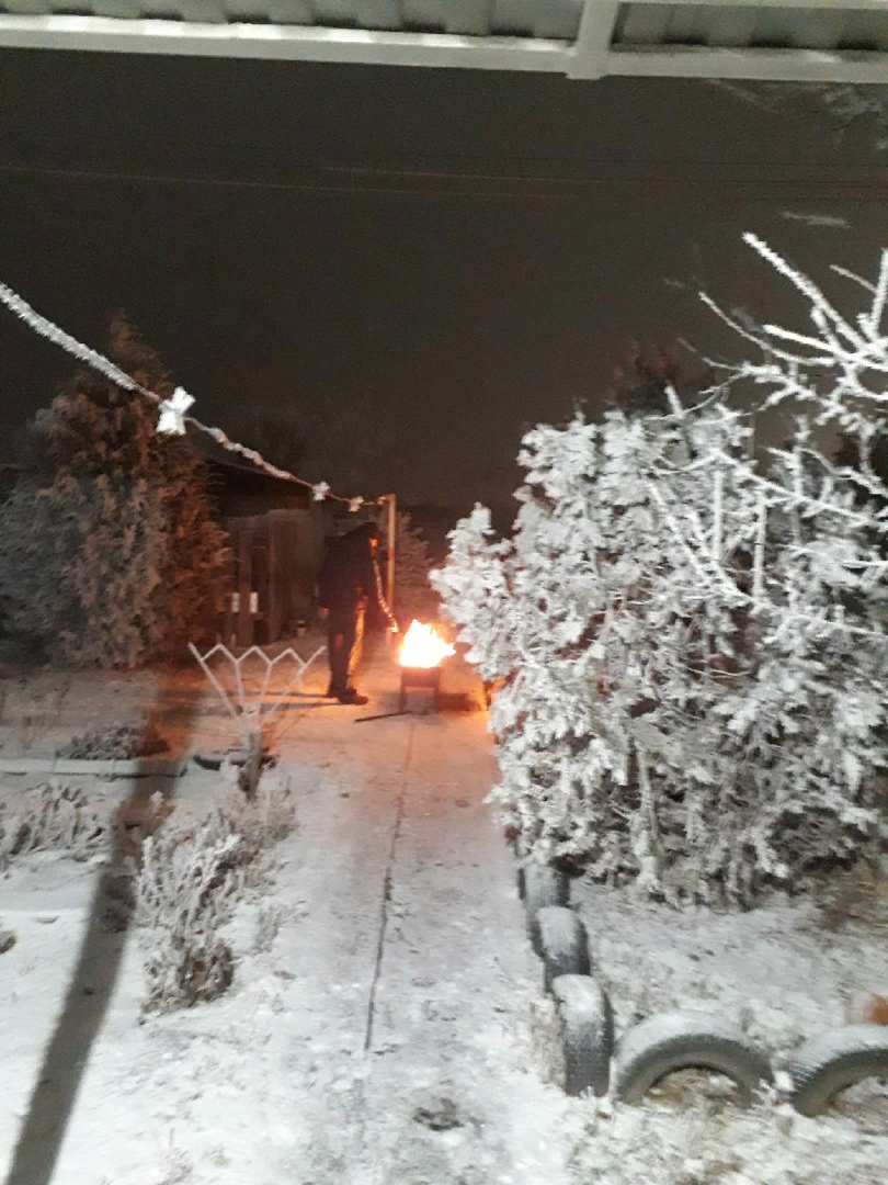 Неожиданные победители: как сколопендра зашла в дом