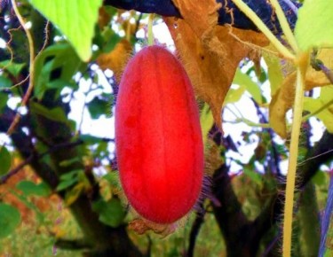 ������������ ���������: ������ ��� ������ ��� ������ ����?