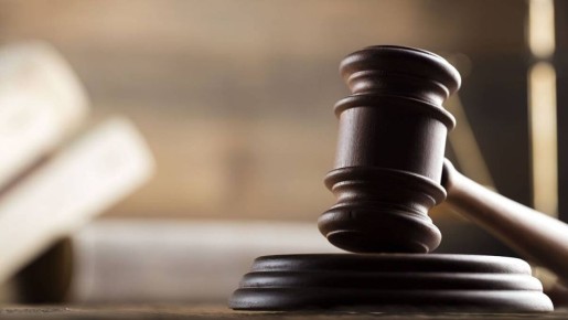 В России предложили запретить патентный троллинг и защитить бизнес