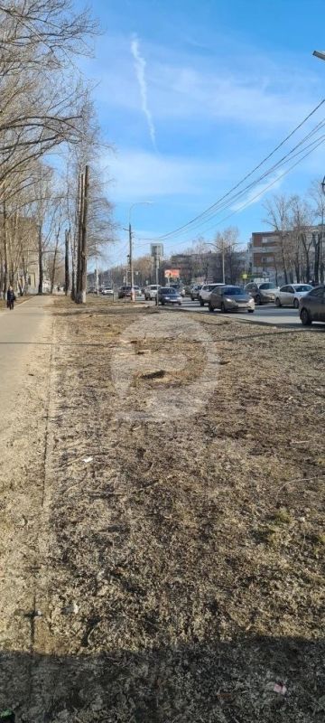 От подписчика:. «Проспект Нариманова. Спилено 6 деревьев вдоль тротуара. Проводам помехи не было. Будет ли заместительная высадка насаждений?! Вопрос мэру Болдакину»