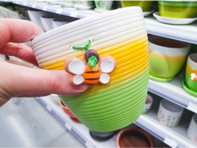 ��������� ������ � �����: ��� ������� ��� ������ ��������