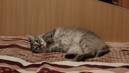 Доброе утро, друзья!. Первый месяц весны постепенно подходит к концу