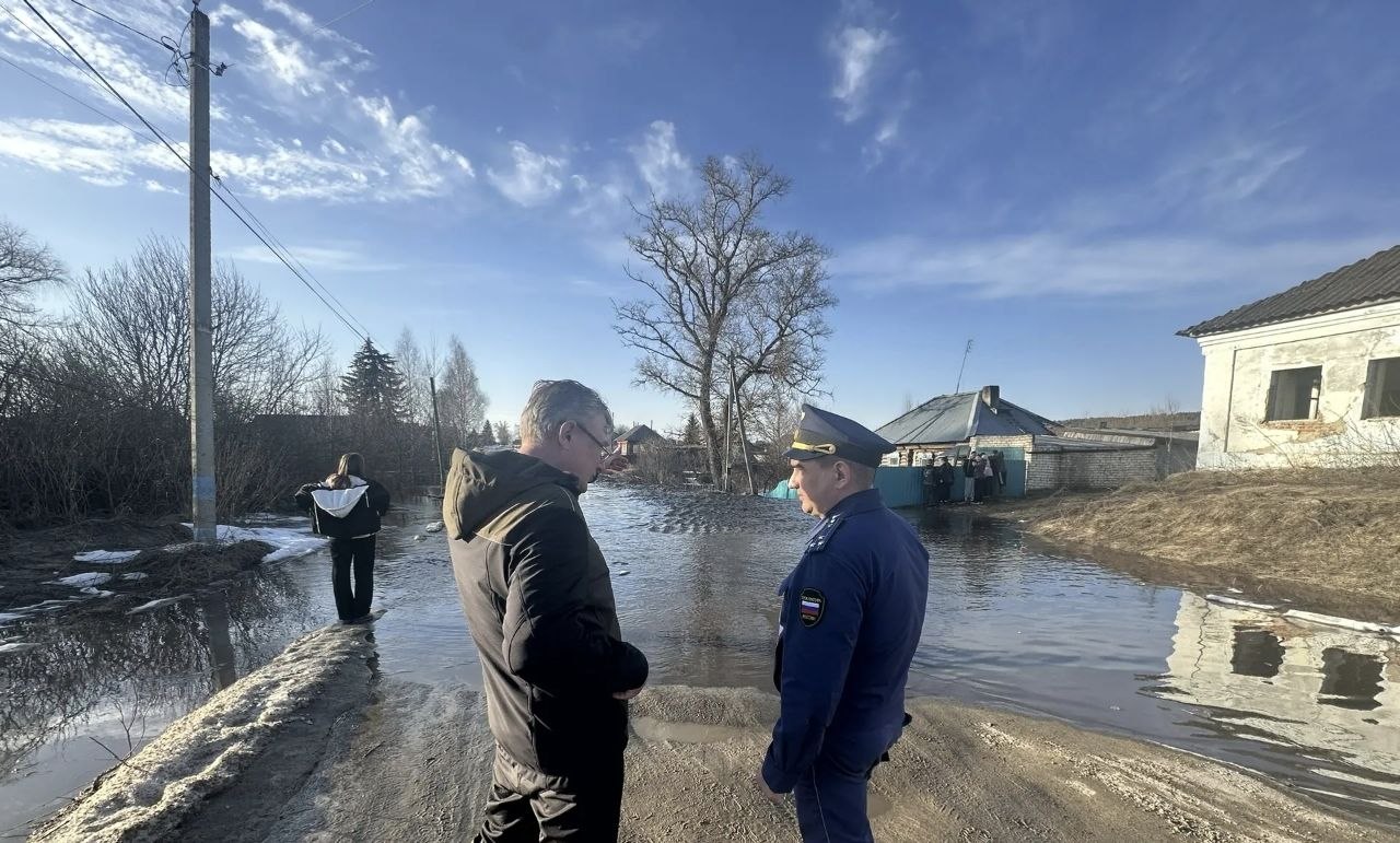 Инзенская межрайонная прокуратура проводит проверку в связи с подтоплением жилых домов в селе Труслейка