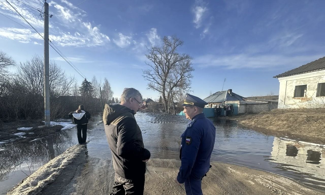 Инзенская межрайонная прокуратура проводит проверку после подтопления жилых домов в селе Труслейка