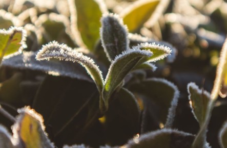 ��������� ��������: ����� ���� ��������� ��� ������� � 2026 ����