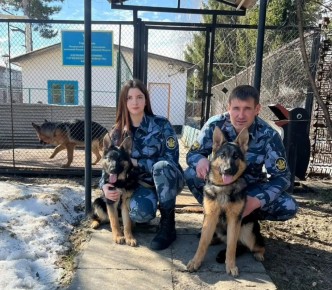 � ���������������� ������� ��������� ����� �������� ����������