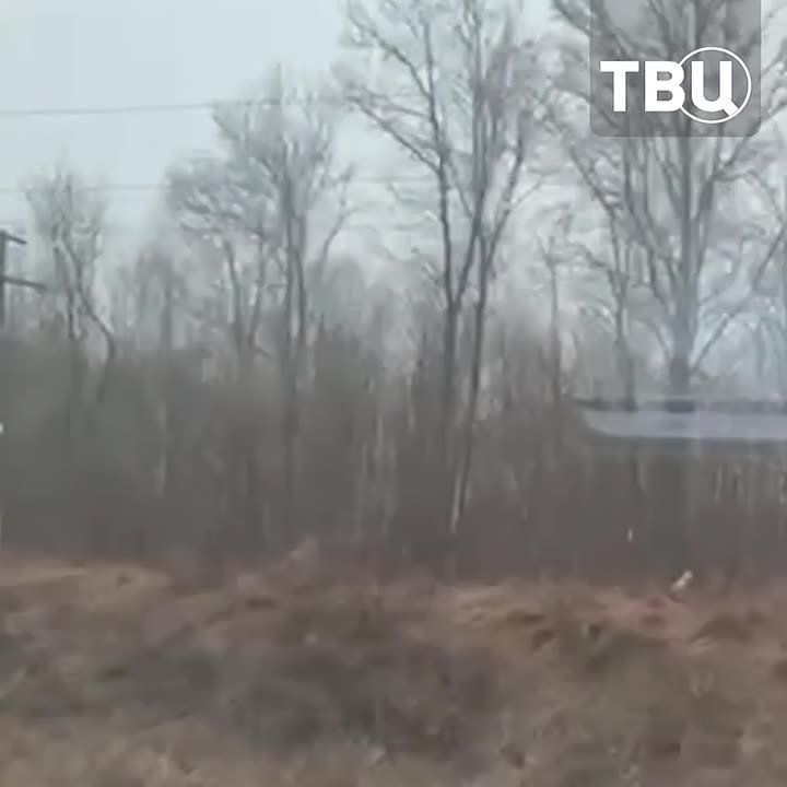 ������ ����������, ������ ������ �������� ����: ��������� ����� �� ������ ����� ����� ������ � ����������� �������