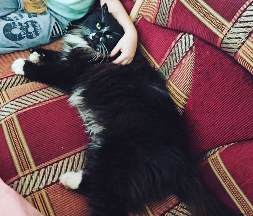 ��� ������� ������������� ������� ��� ���� ������ ������