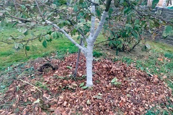 ���������� ������ � ������� ������