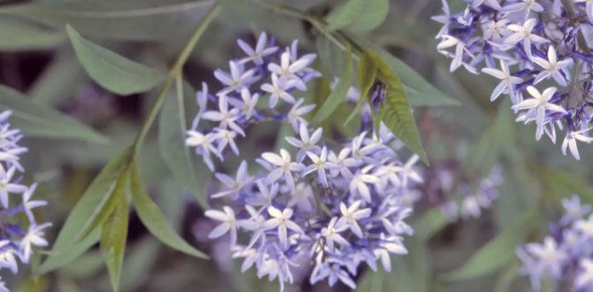 ��������, �������� ���������� ��� ��������� �����