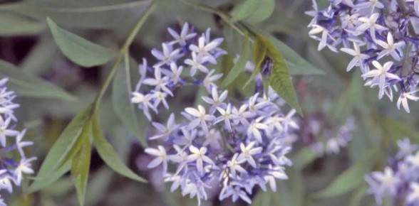 ��������, �������� ���������� ��� ��������� �����