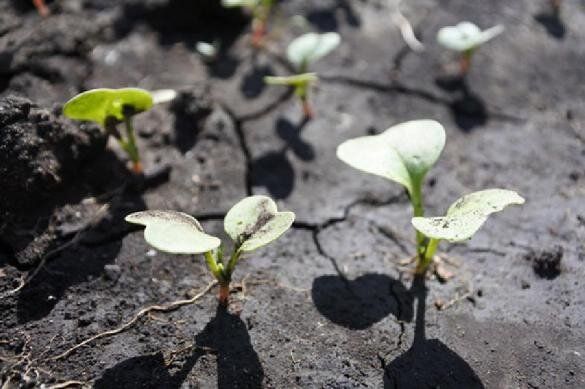 ��� �������� �������� ������ ��� ����������� ������� ������