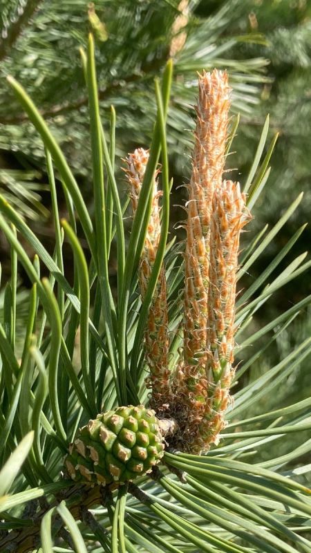 ����� �� �����: ������� �������� ��� ��� �����