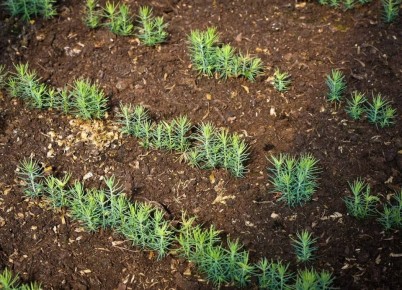 � ����������� ������� �������� ������������ 1,5 ���