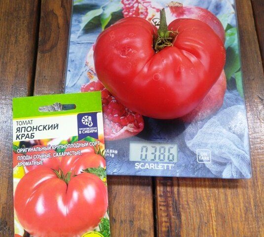 �������� ����� ����� �������: ������� � ������