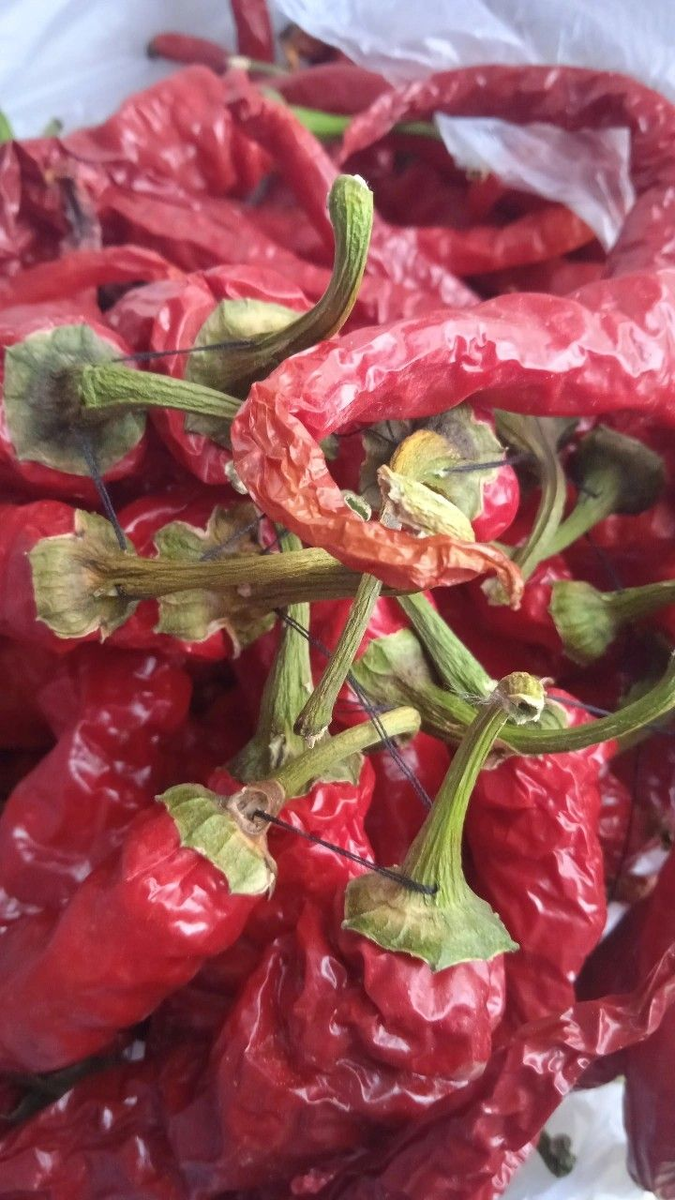 Специи, которые помогают ускорить метаболизм: в поисках эффективности