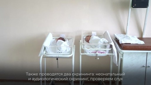 5 ������ � ���� �����������