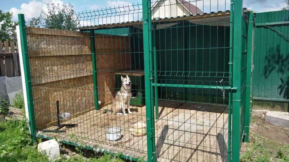 ��� ���������� ����� ������ ��������� �������� ������ � ��������