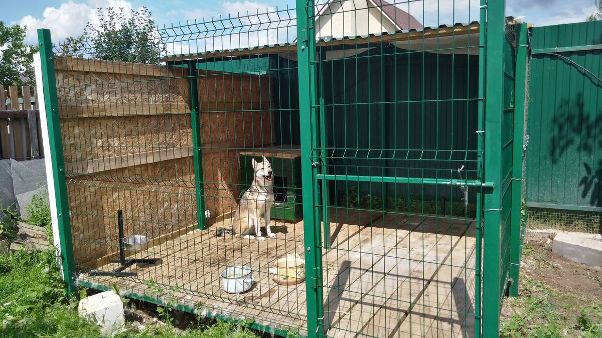 Как неутомимый побег собаки превратил стильный вольер в крепость