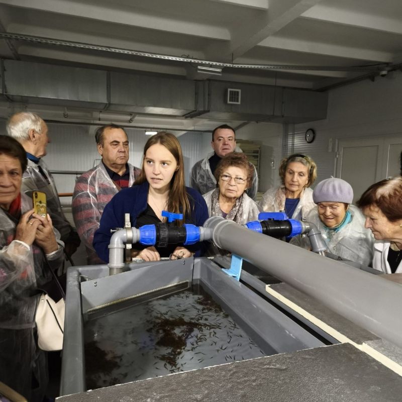 �������� ������������������ ������������� � ����������� � ������������