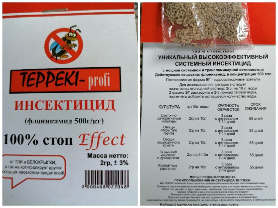 �������: �� ����� �� ��������� ����������, ��� ��� ���������