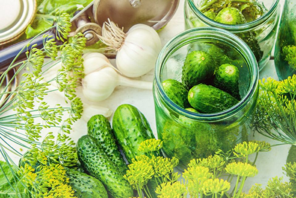 ����� ������ ���������������: ���������� ������, ������� ������� ��� ����