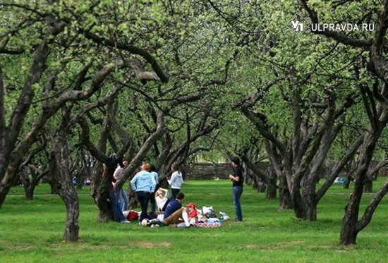 ����-2026. ��� ��������� ��������� ����� � ������ ��������� ��� ������� ������