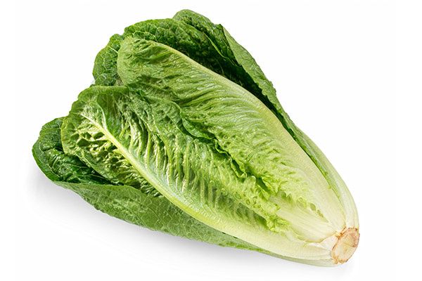 ����� �������: ��������� ������� ��� ������ �������