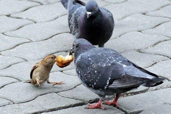 ������ ������ �� ��������� ����� ��������