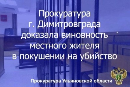 Димитровградский городской суд Ульяновской области вынес приговор по уголовному делу в отношении жителя региона
