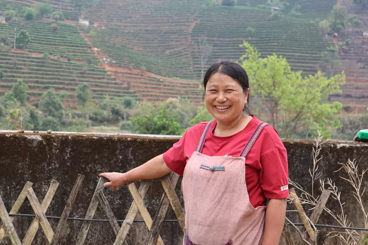 Что посетить в Пуэре, Юньнань