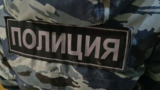 Сотрудниками полиции проводится проверка по факту гибели лебедя в Засвияжском районе города Ульяновска