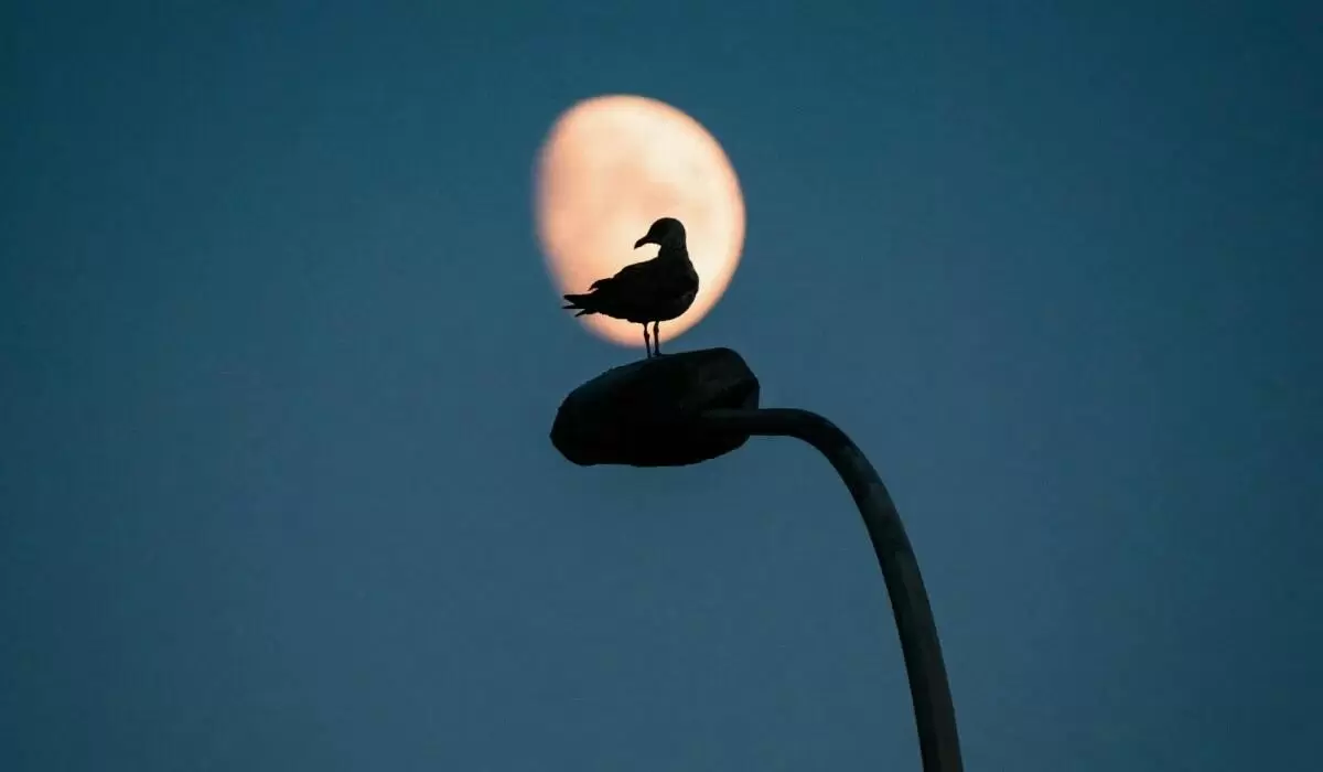 Апрель 2026: Лунный календарь для успешных решений и новых начинаний